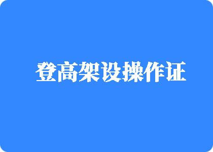 萌妹子日逼登高架设操作证